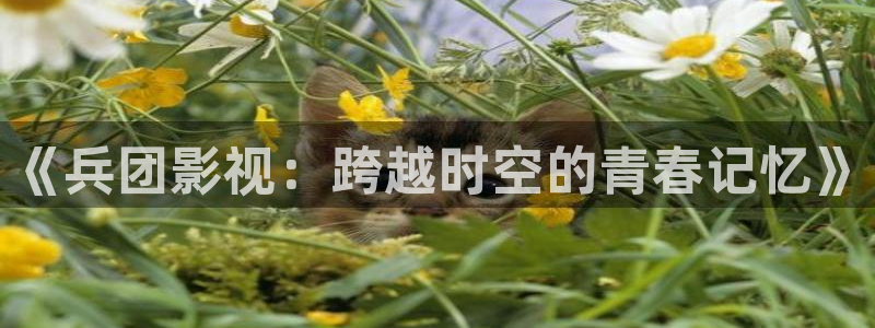 爱丫爱丫在线影院电视剧高清免费蜜：《兵团影视：跨越时空的青春记忆》