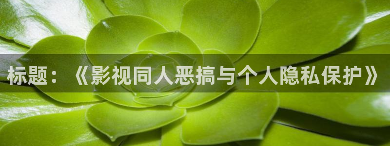 爱丫爱丫电视剧视频在线观看：标题：《影视同人恶搞与个人隐私保护》