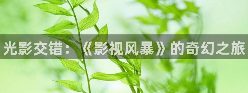 爱丫爱丫在线影院电视剧免费观看青春有你：光影交错：《影视风暴》的奇幻之旅