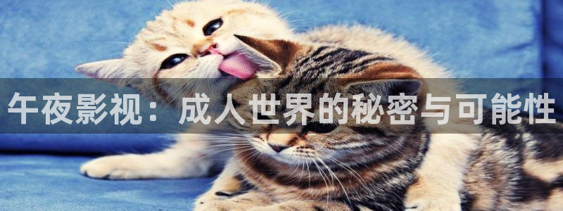 爱丫爱丫在线：午夜影视：成人世界的秘密与可能性