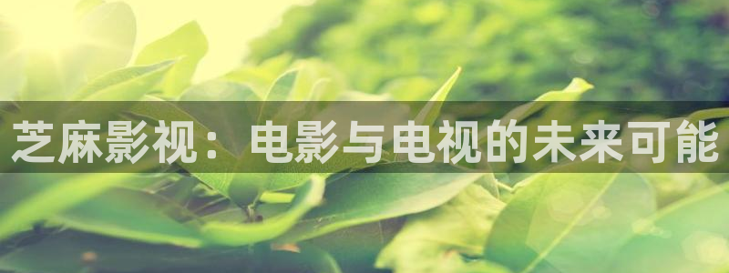 爱丫爱丫在线影院电视剧免费观看青：芝麻影视：电影与电视的未来可能