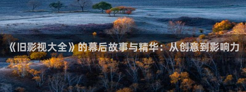 爱丫爱丫影院在线：《旧影视大全》的幕后故事与精华：从创意到影响力