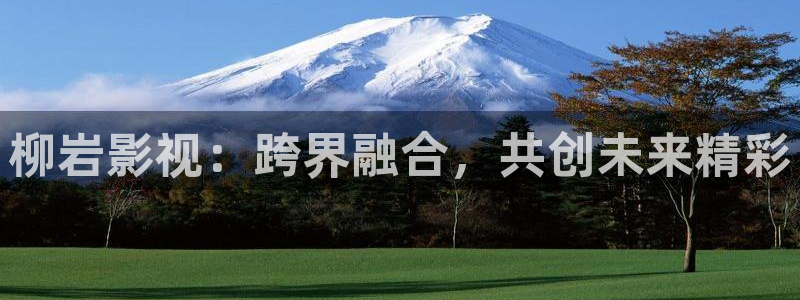 国产剧爱丫爱丫免费全集电视剧：柳岩影视：跨界融合，共创未来精彩