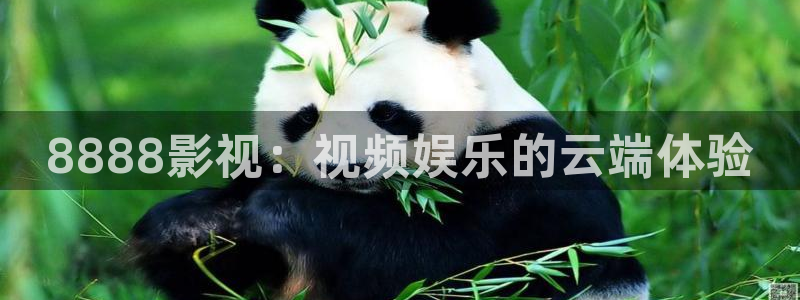 爱丫爱丫兄妹影院电视剧免费动漫：8888影视：视频娱乐的云端体验
